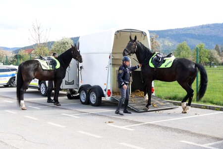 Skupen nadzor konjenikov NRP 03 Foto Ljubo Vukelič